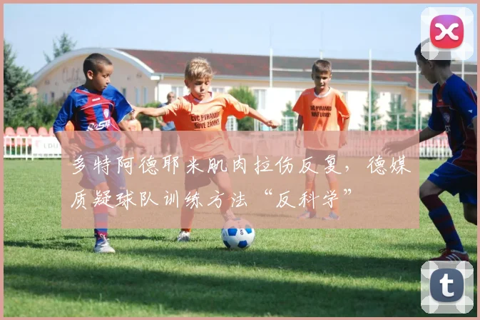 多特阿德耶米肌肉拉伤反复，德媒质疑球队训练方法“反科学”