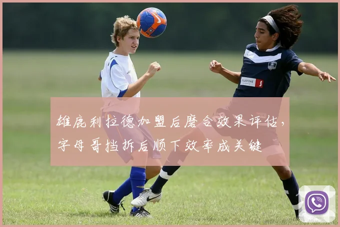 雄鹿利拉德加盟后磨合效果评估，字母哥挡拆后顺下效率成关键